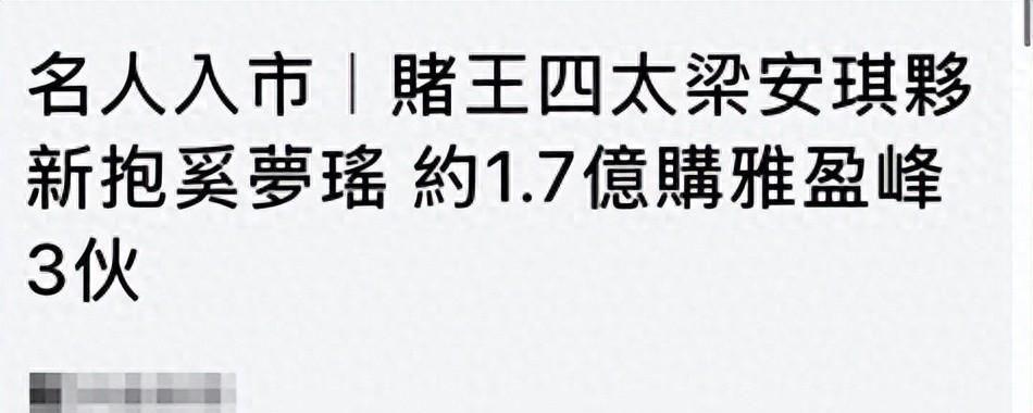 开云体育-梁安琪带奚梦瑶扫货豪宅，同层豪掷1.68亿，拿下三套李泽楷新楼盘